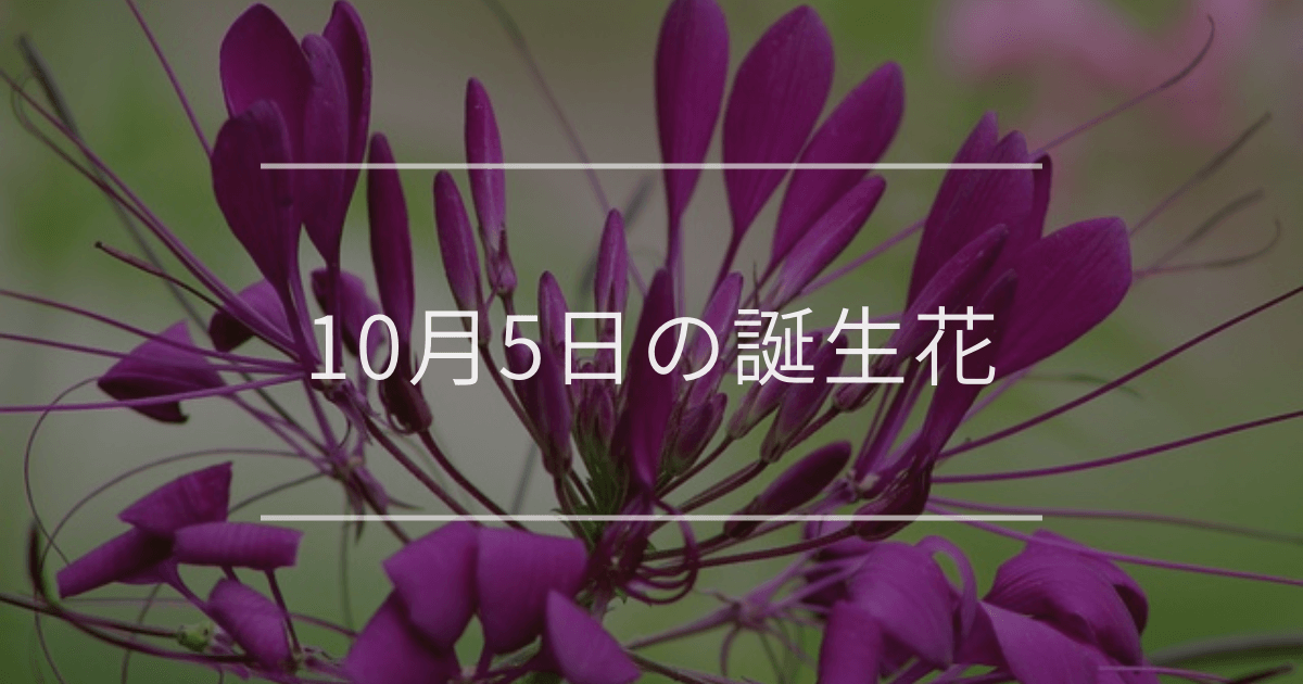 10月5日の誕生花