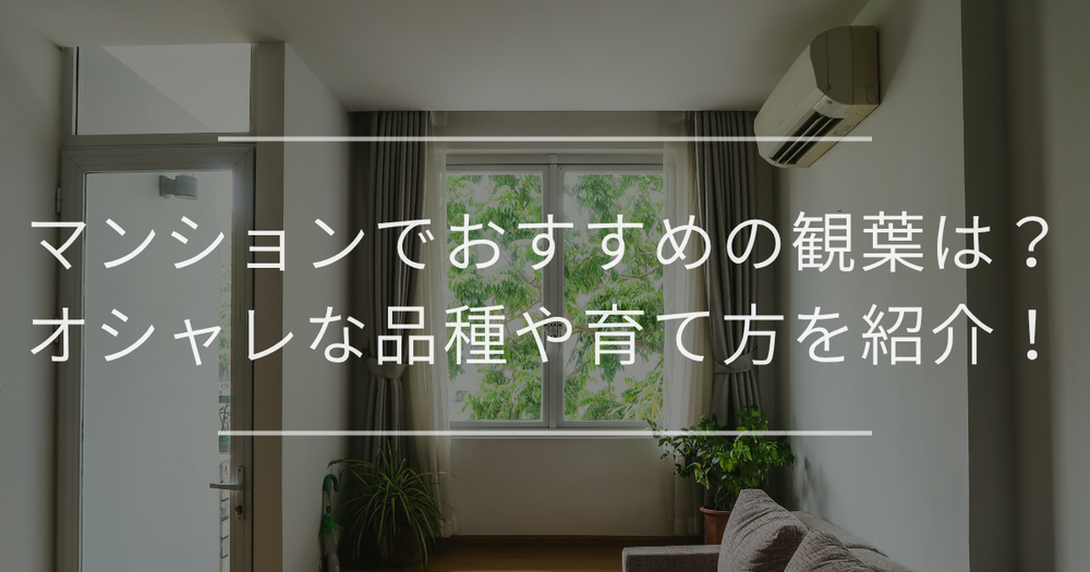 マンションで育てやすい観葉植物とは？オシャレな観葉植物や育て方を紹介！