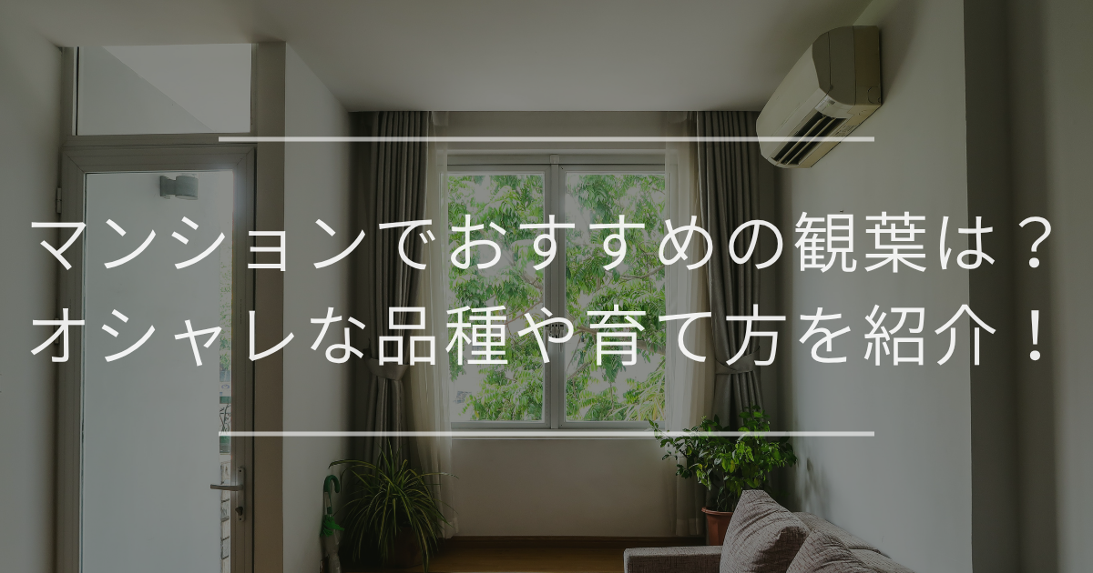マンションで育てやすい観葉植物とは？オシャレな観葉植物や育て方を紹介！