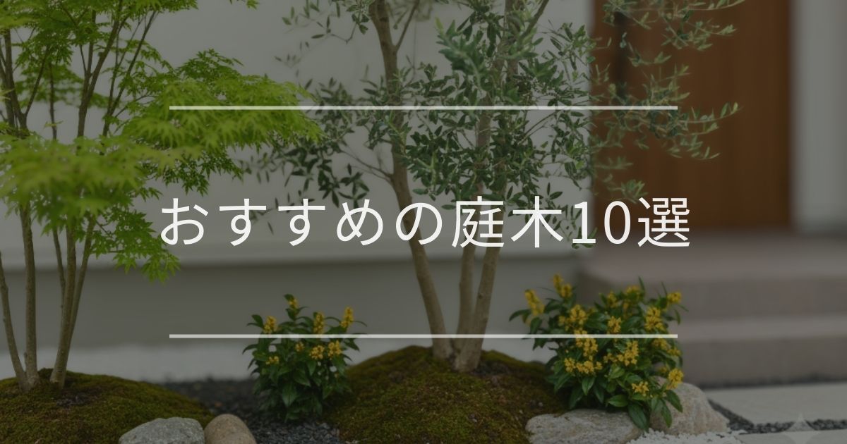 【最新版】おすすめの庭木10選｜後悔しない選び方も徹底解説