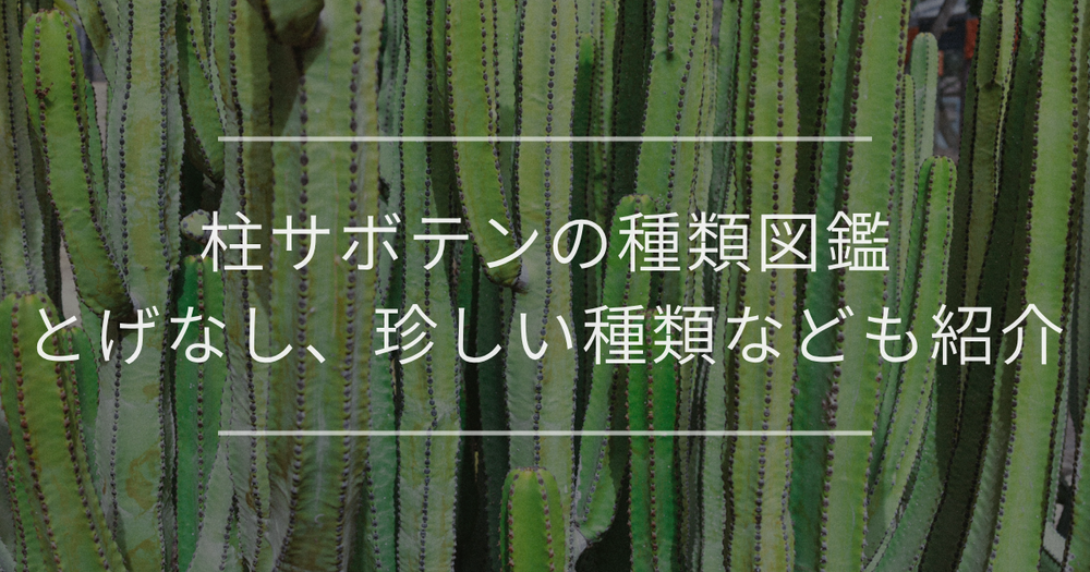 柱サボテンの種類図鑑｜とげなし、珍しい種類なども紹介