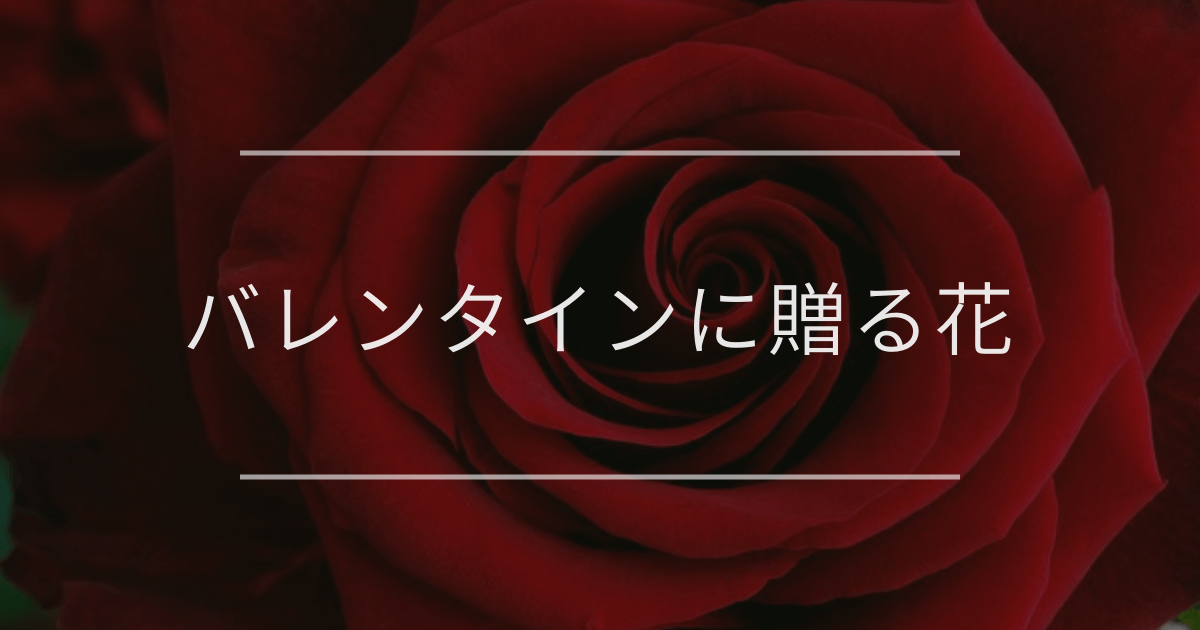 バレンタインに贈る花