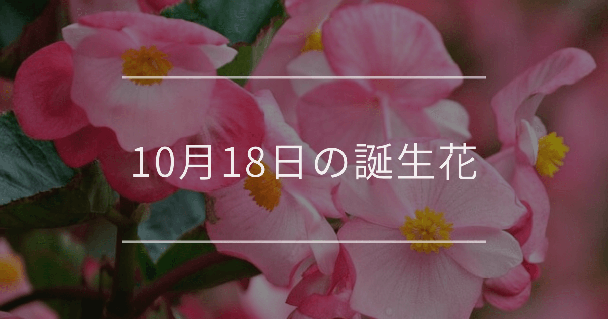 10月18日の誕生花