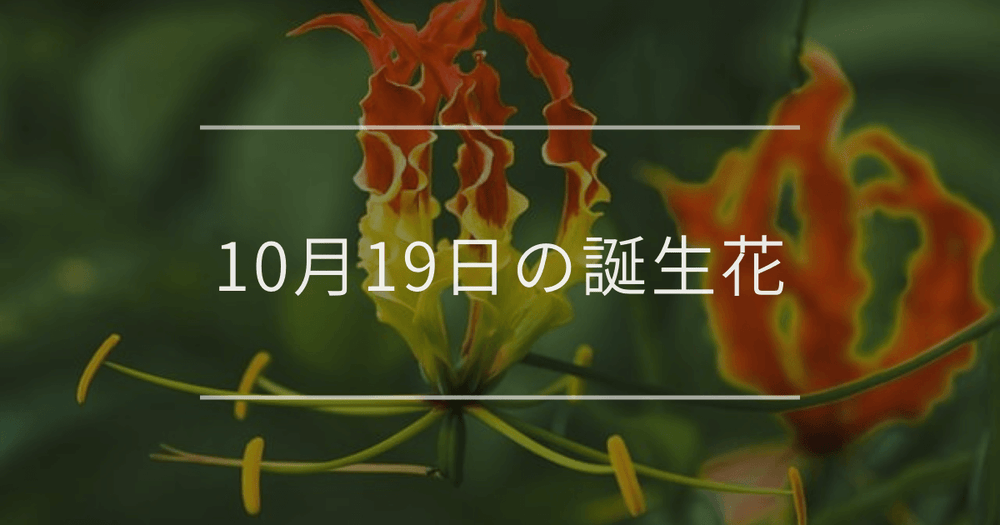 10月19日の誕生花：グロリオサ・アキノキリンソウの花言葉など