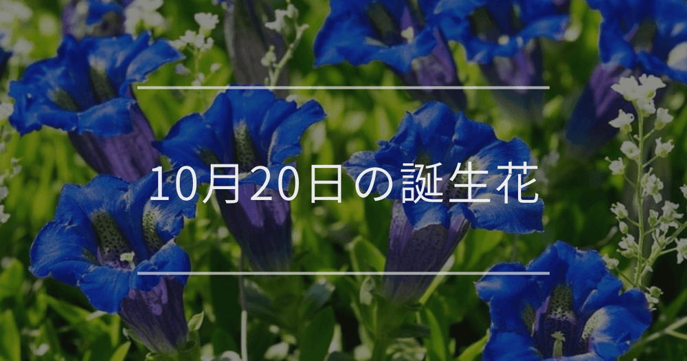 10月20日の誕生花：リンドウ・ブッドレアの花言葉など