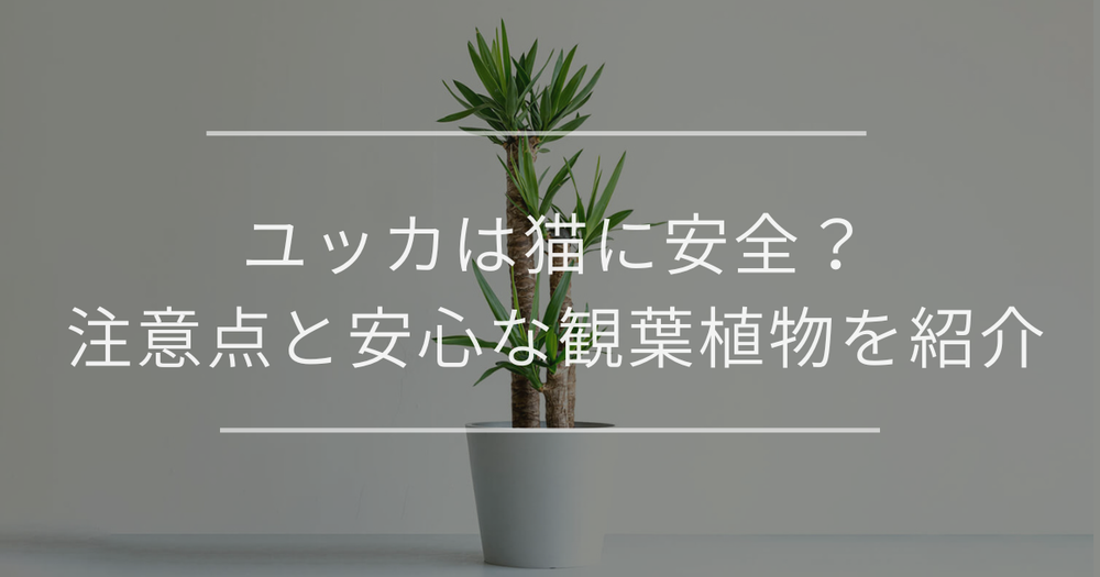 ユッカは猫に安全？注意点と安心な観葉植物を紹介