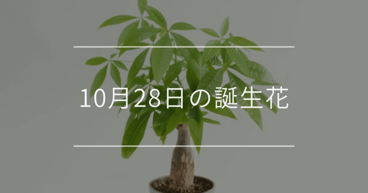 10月28日の誕生花