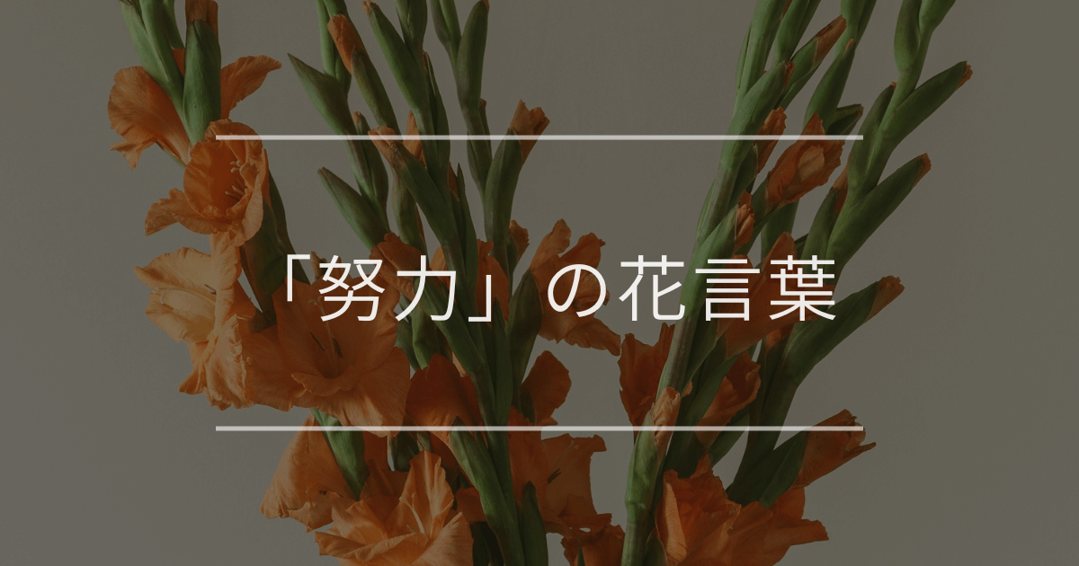「努力」の花言葉｜励ましたい時や頑張りたい時におすすめの植物