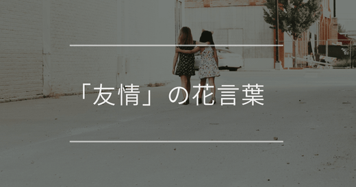 「友情」の花言葉｜友達に贈りたい素敵な花言葉17選