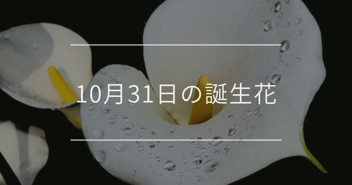 10月31日の誕生花