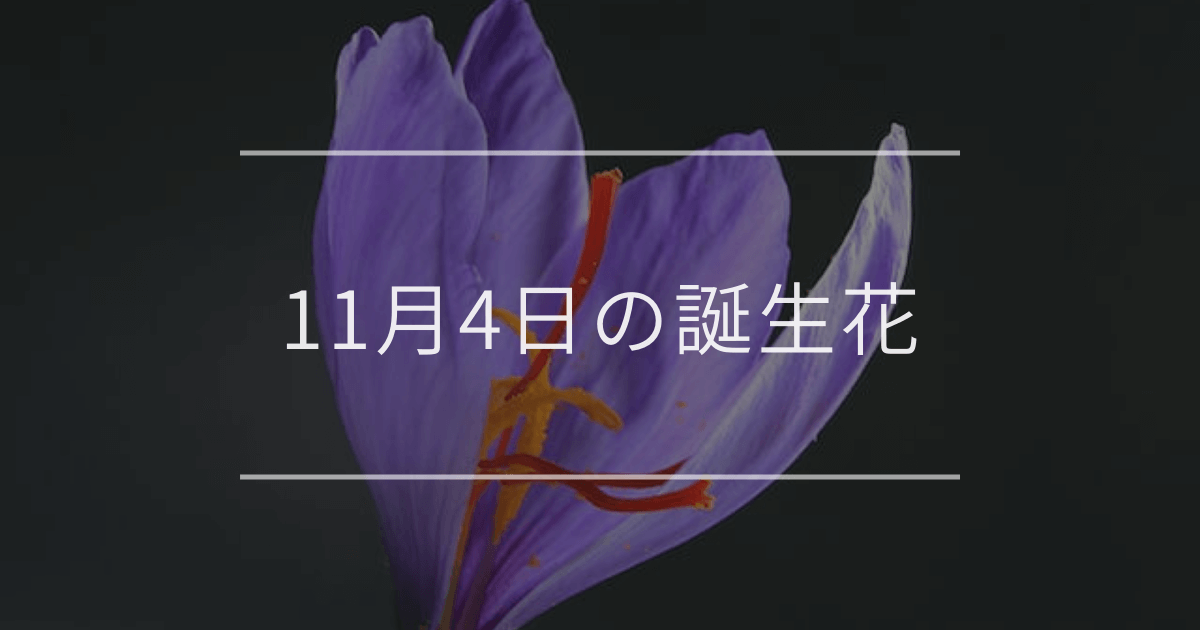 11月4日の誕生花