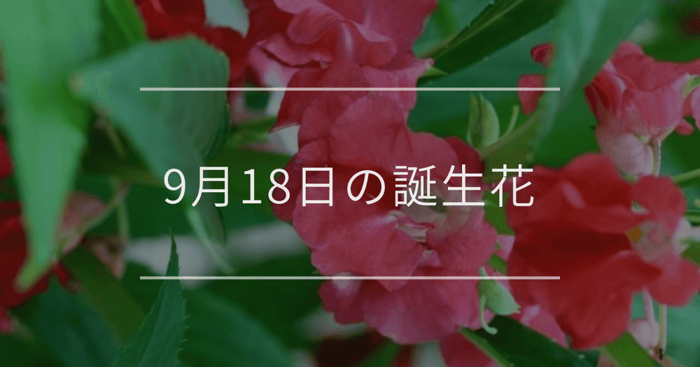 9月18日の誕生花：ホウセンカ・アザミの花言葉など
