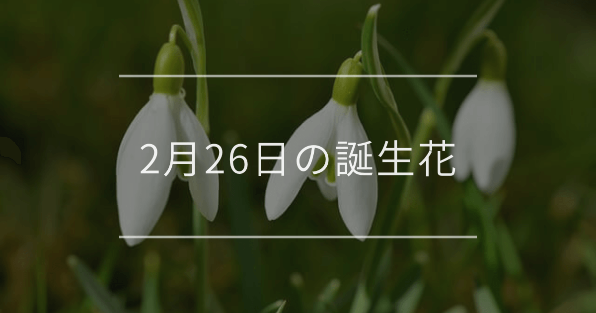 2月26日の誕生花