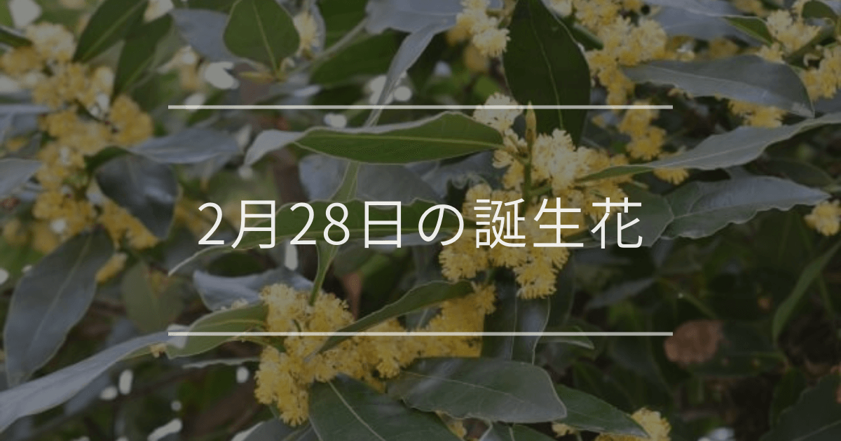 2月28日の誕生花