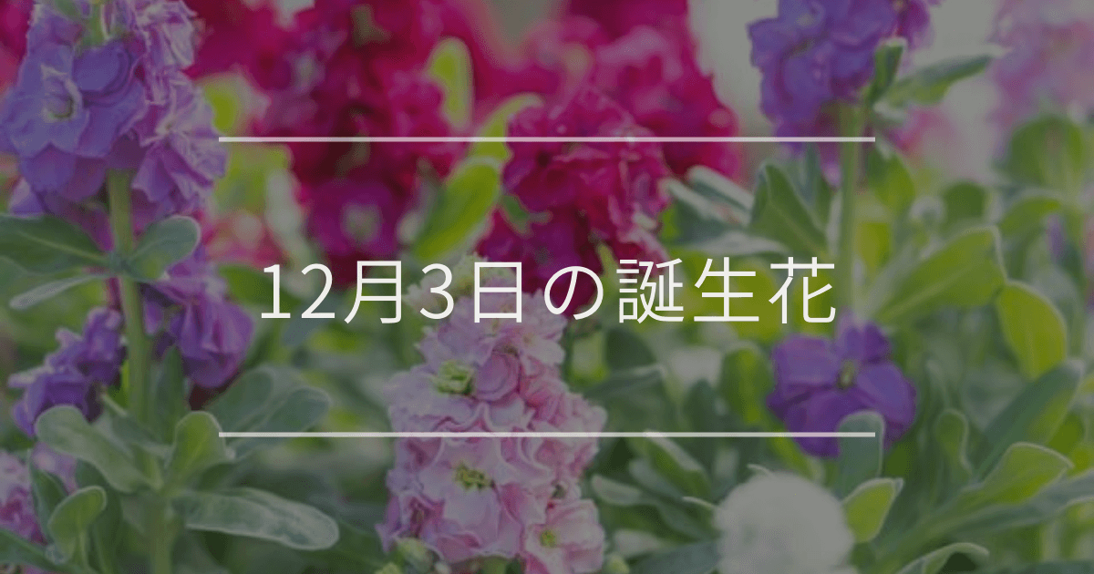 12月3日の誕生花