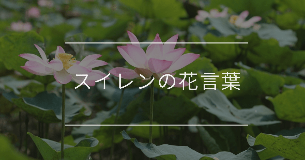 スイレンの花言葉