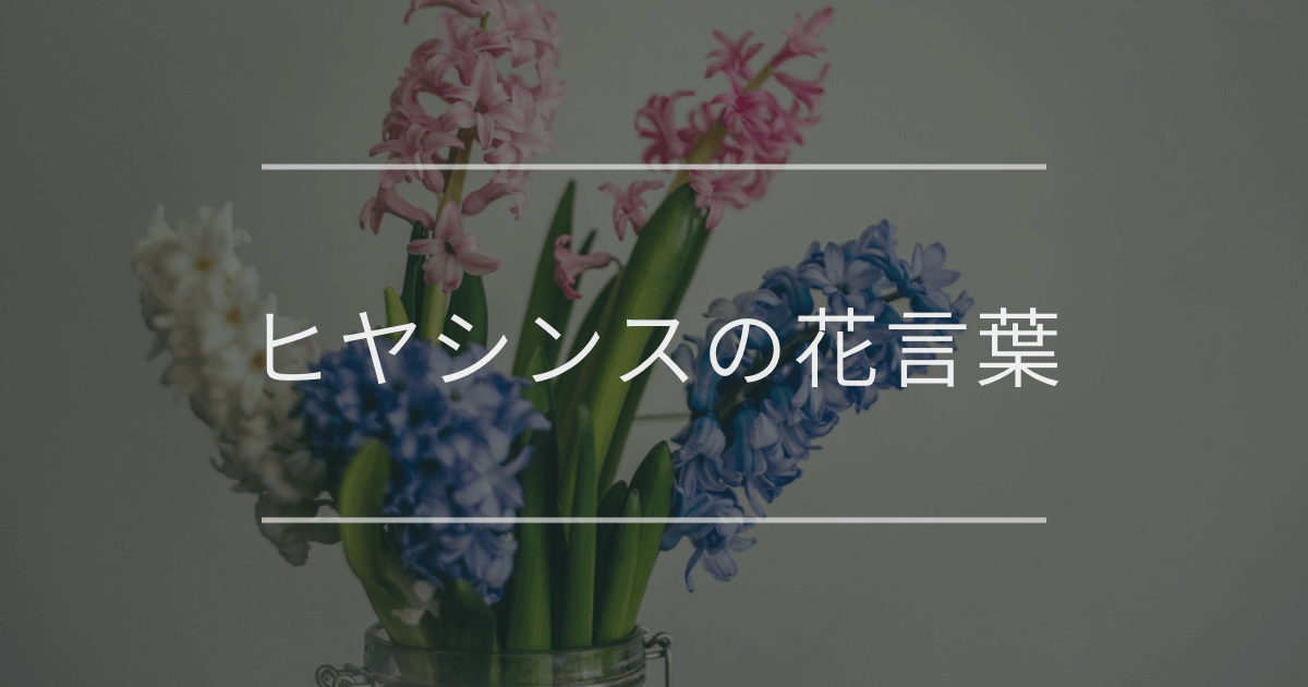 ヒヤシンスの花言葉