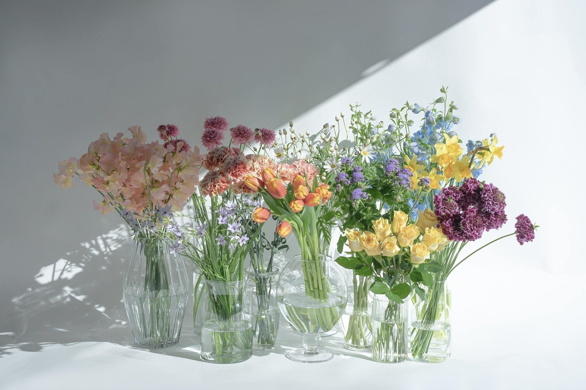 お花を通して穏やかな気持ちを届けたい。Maison Calme 大輪さんの花への想いとその美学