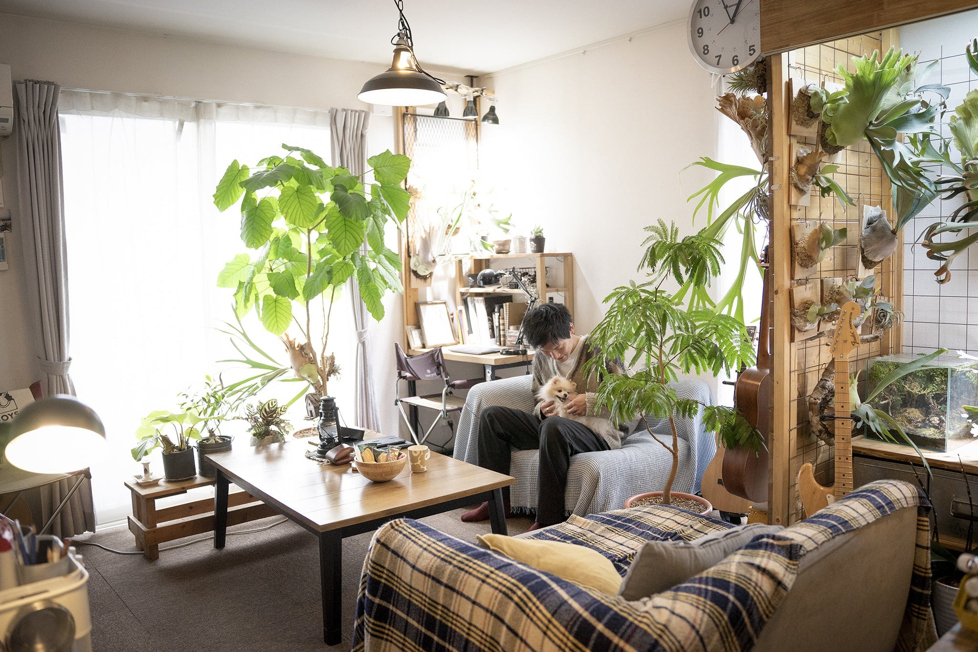 「ビカクシダに人生を変えられました」注目アーティストWataru Kimuraさんの住居兼アトリエへ