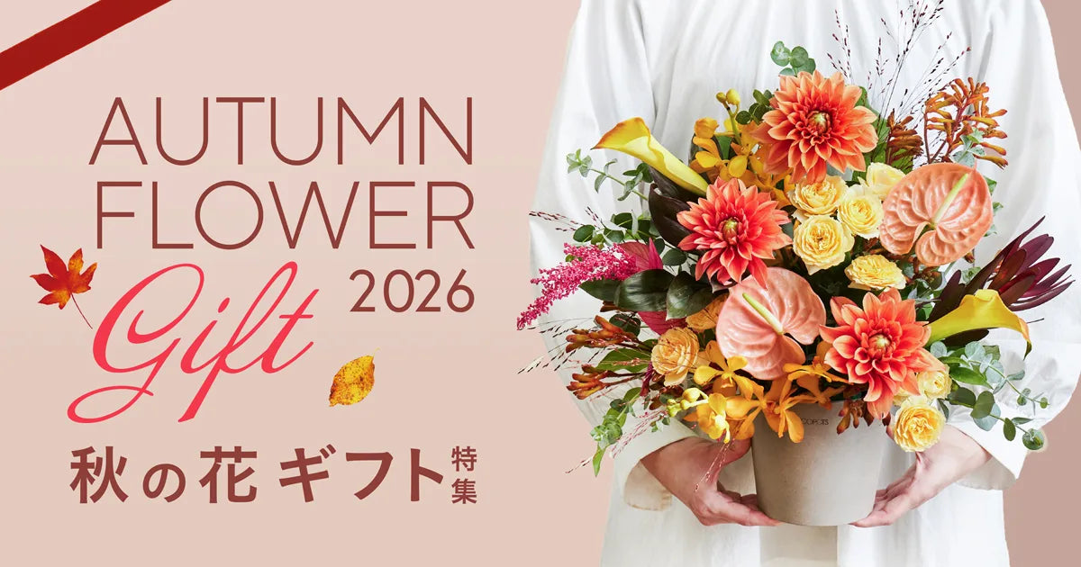 秋の花ギフト特集