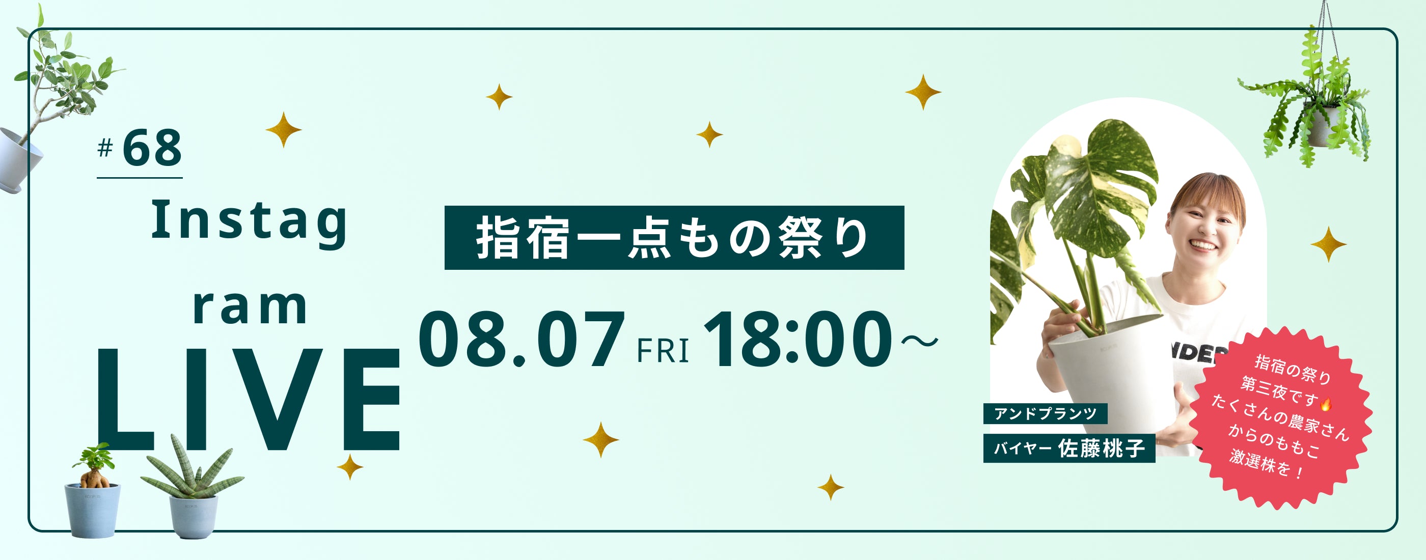 ライブ販売