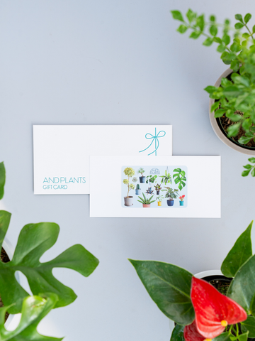 【観葉植物ギフトカード】Plants Gift Card 11000