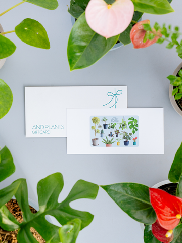 【観葉植物ギフトカード】Plants Gift Card 33000