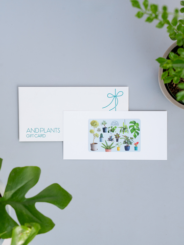 【観葉植物ギフトカード】Plants Gift Card 6600