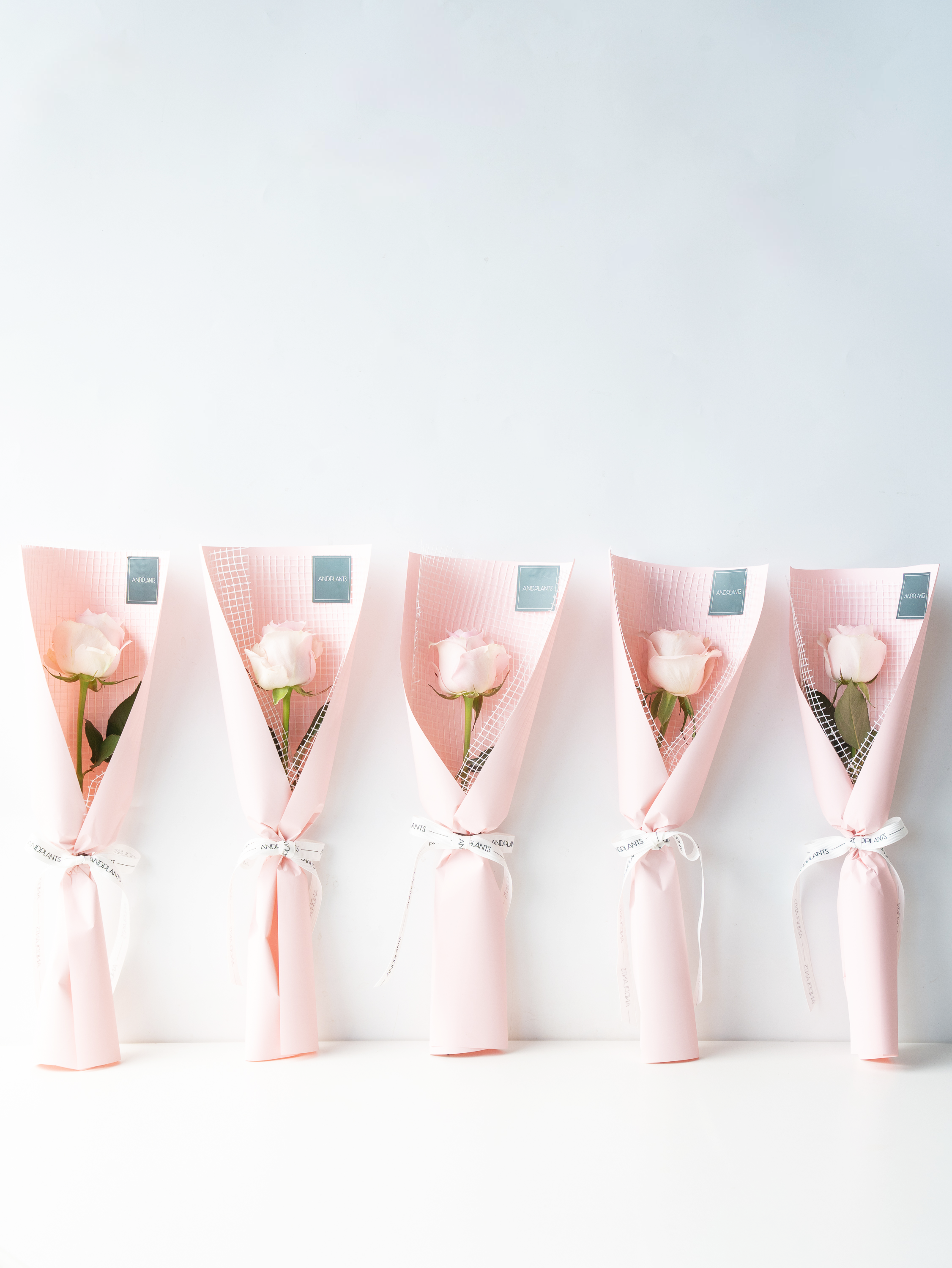 【送別・お祝いなどに】生花1輪ラッピング - Rose × Pink 5束セット -