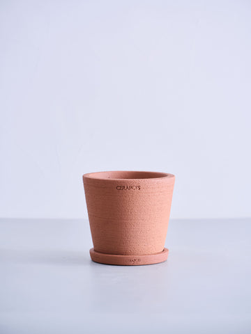 植木鉢 Table-L CERAPOTS Onku15