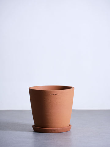植木鉢 M CERAPOTS Onku25