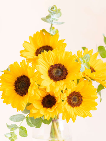 定番のひまわりの花束 M