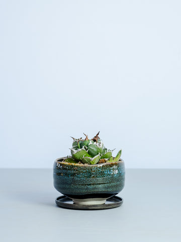 【一点もの】チタノタ 魔丸 Table-M #1