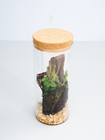 【一点もの】バークリウムボトル Table-S