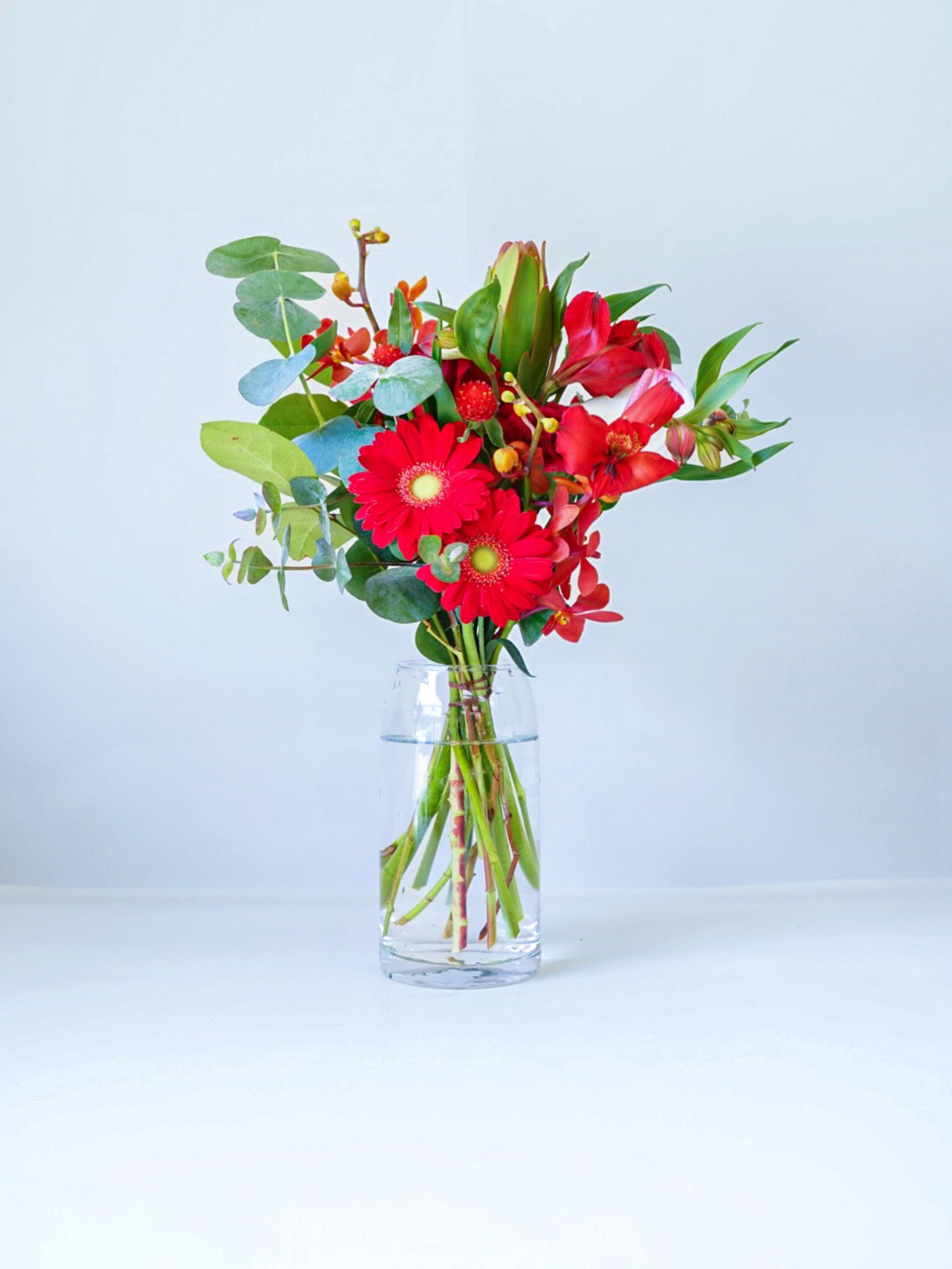 フローリストにおまかせ 季節の花束 M - レッド -