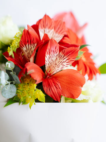 そのまま飾れる季節のおまかせ花束 S　レッド