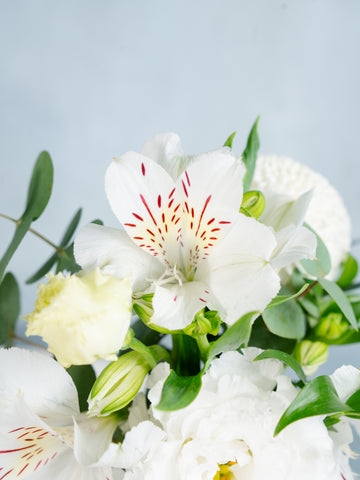 【お供え用】そのまま飾れる花束 S　- ホワイト -