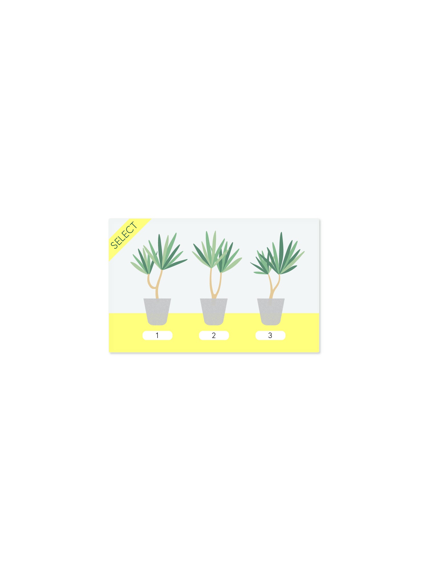 樹形選択サービス M/L (追加購入用)