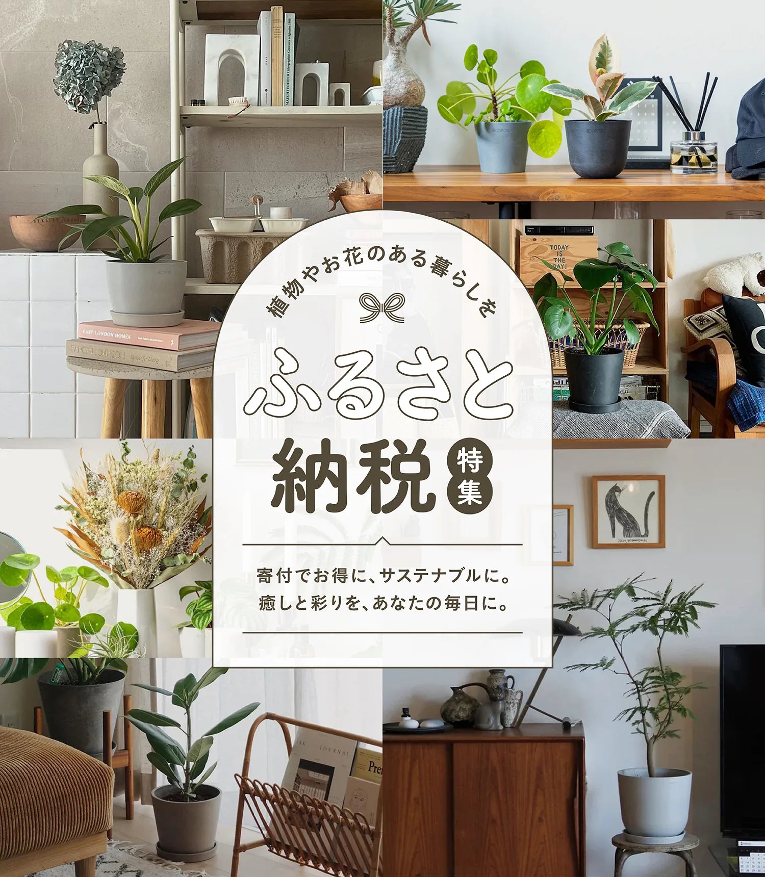 アンドプランツのふるさと納税