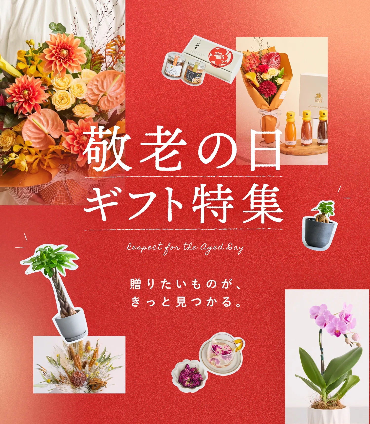敬老の日ギフト特集