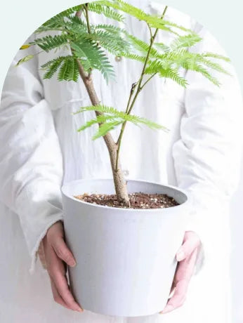 Sサイズの植木鉢