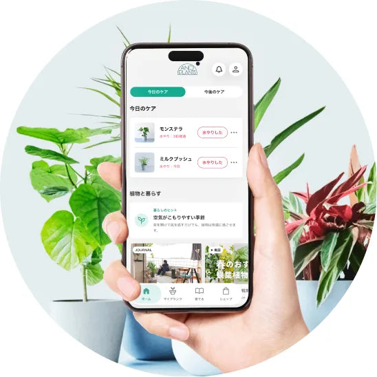 AND PLANTS APP 植物との暮らしをサポートするアプリ
