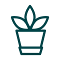観葉植物
