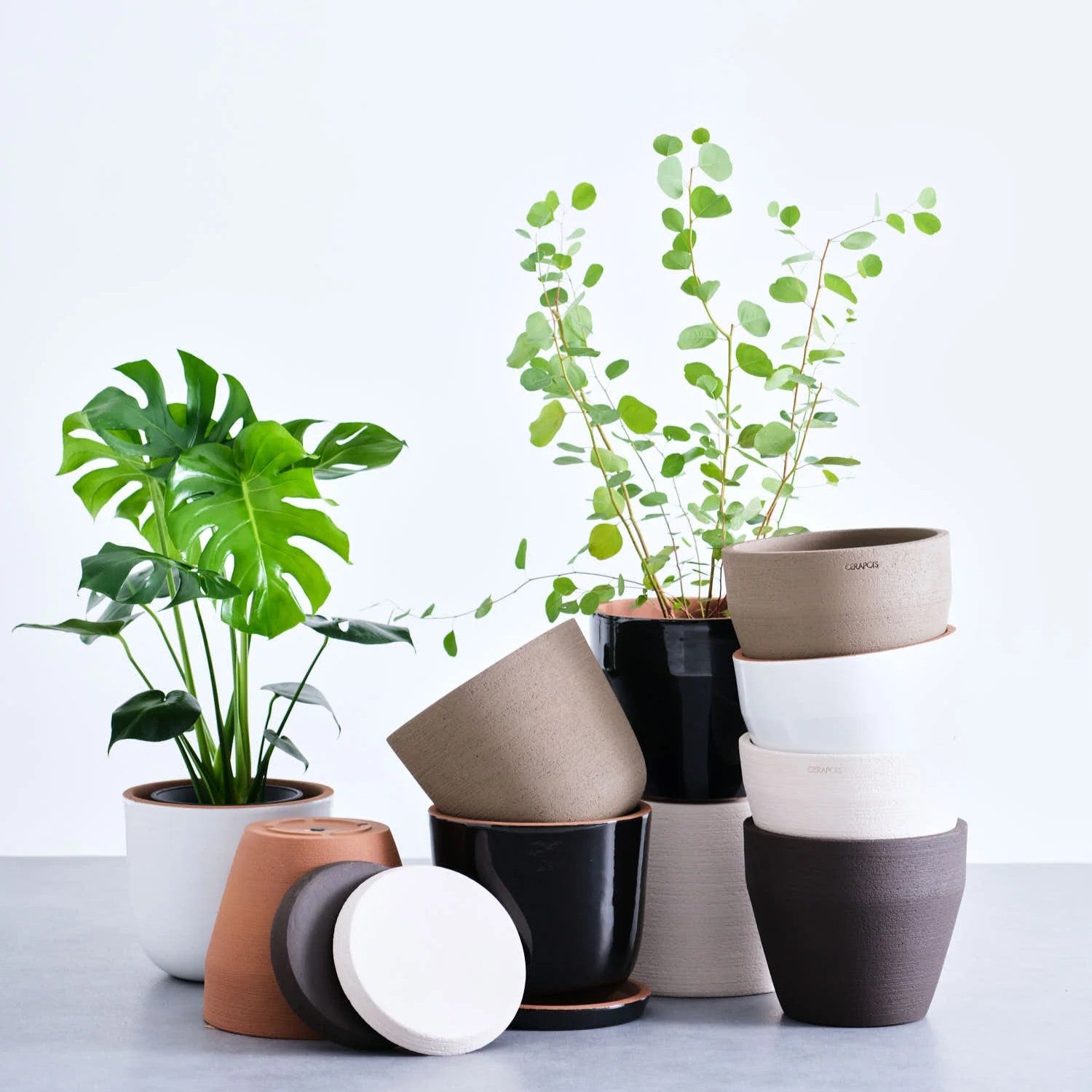 植木鉢 Table-L CERAPOTS Onku15_point0