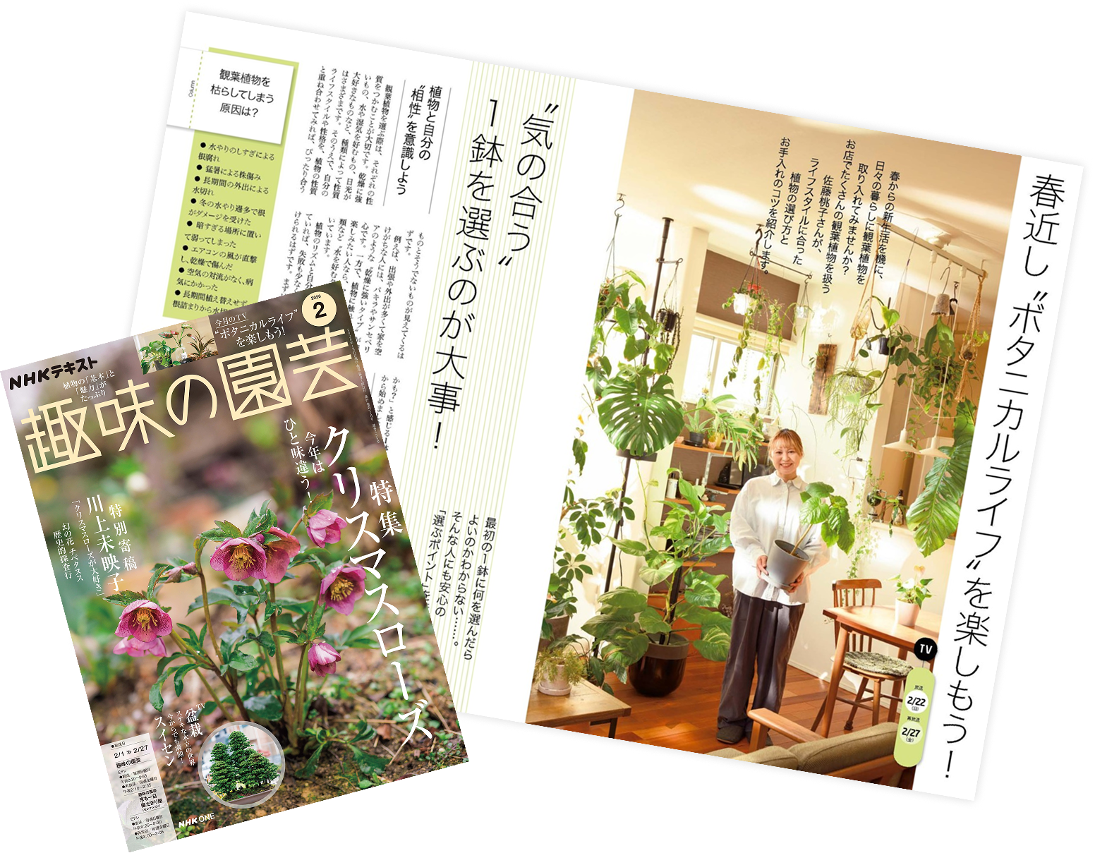 趣味の園芸