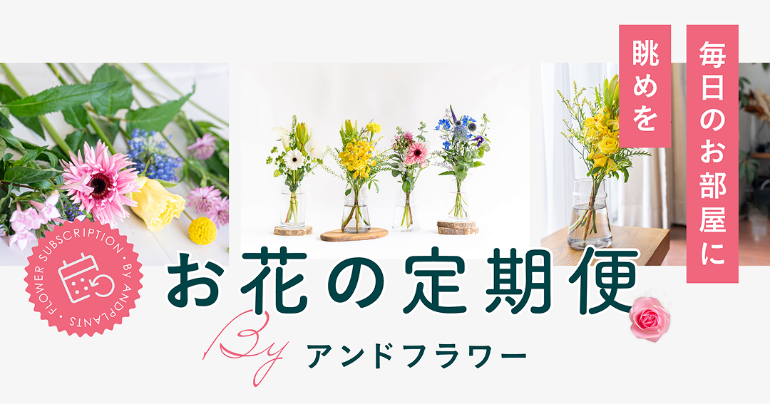 お花の定期便（サブスク）