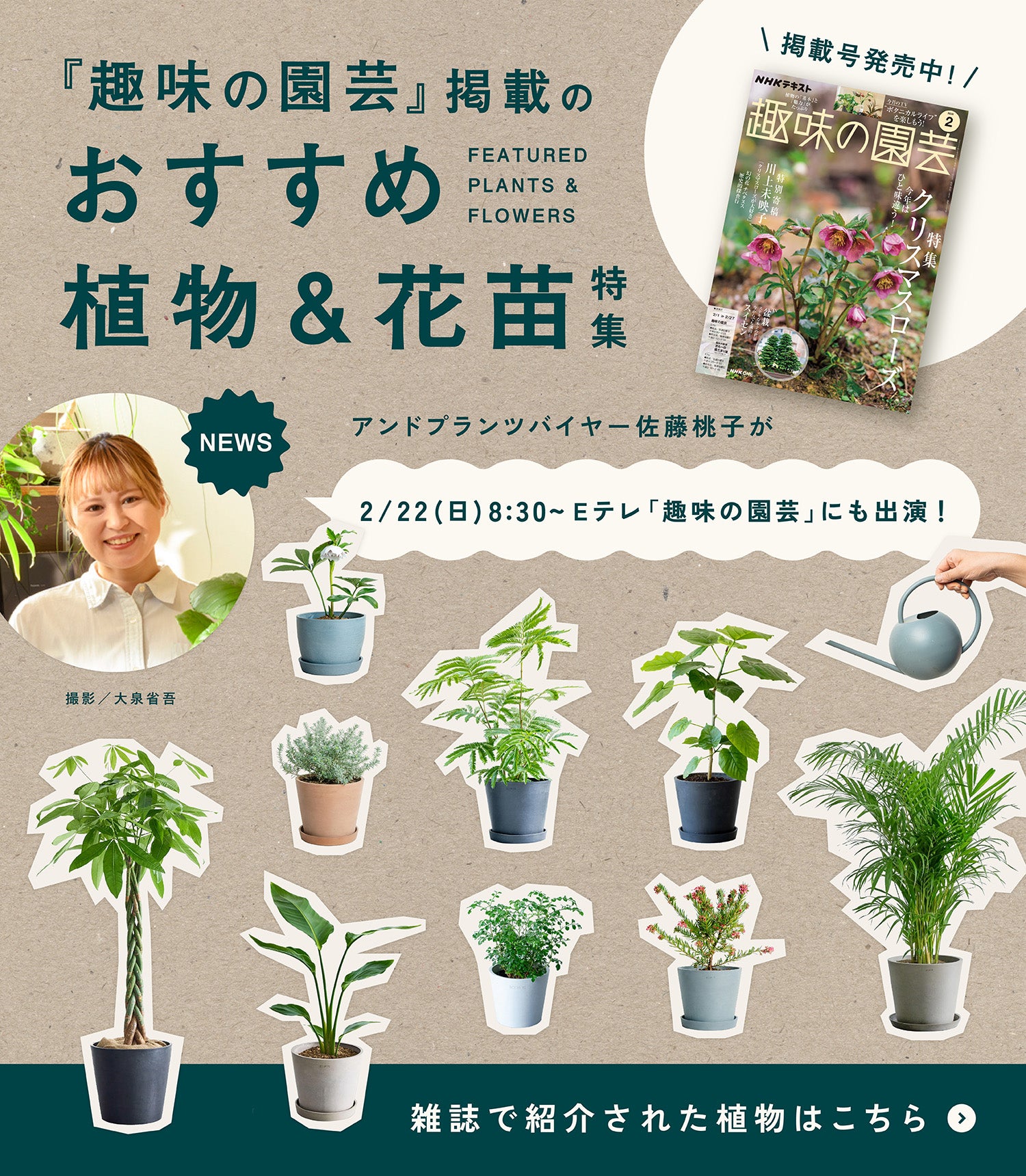 『趣味の園芸』掲載のおすすめ植物＆花苗特集